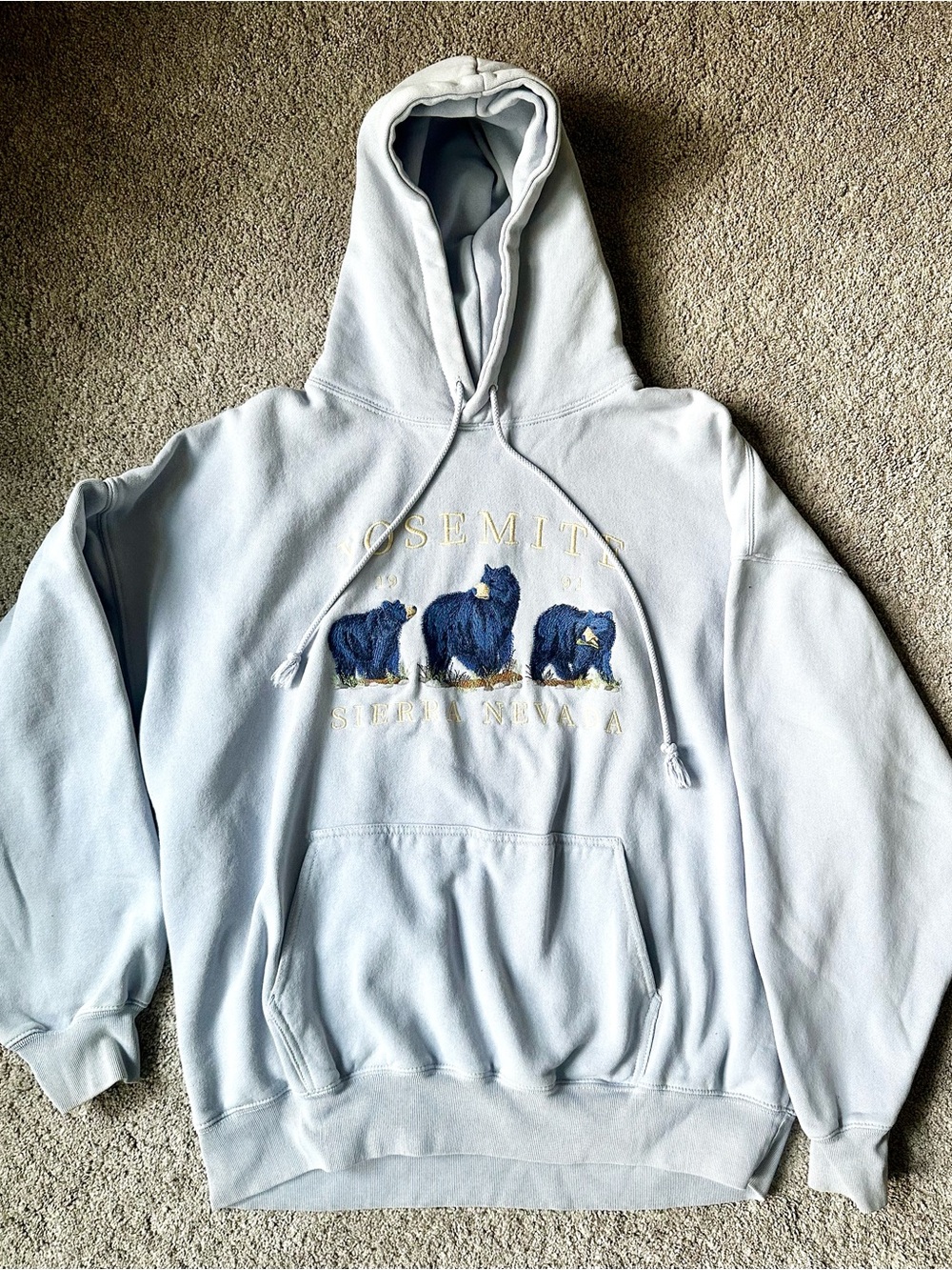 Light Blue Brandy Melville Yosemite Bear Graphic Hoodie
